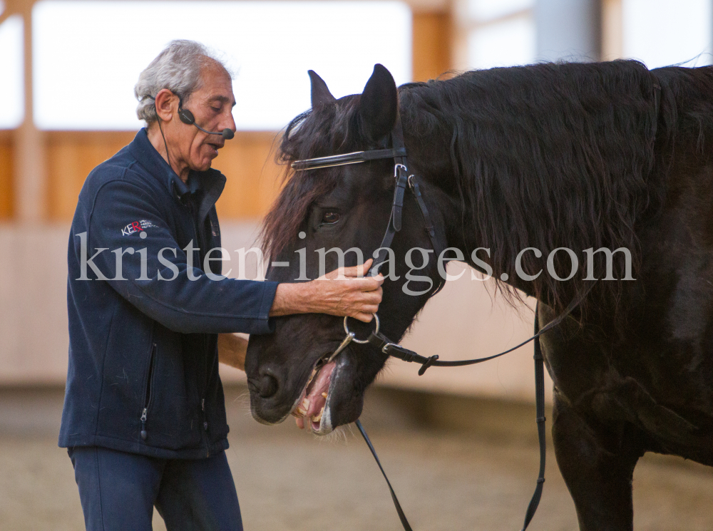 klassische Dressur / Aldrans, Tirol by kristen-images.com