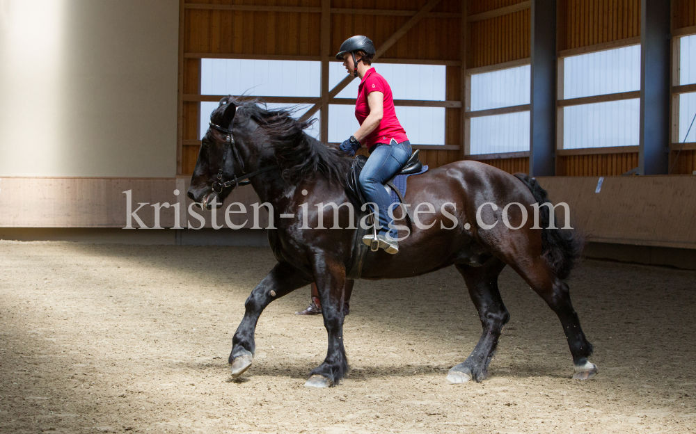 klassische Dressur / Aldrans, Tirol by kristen-images.com