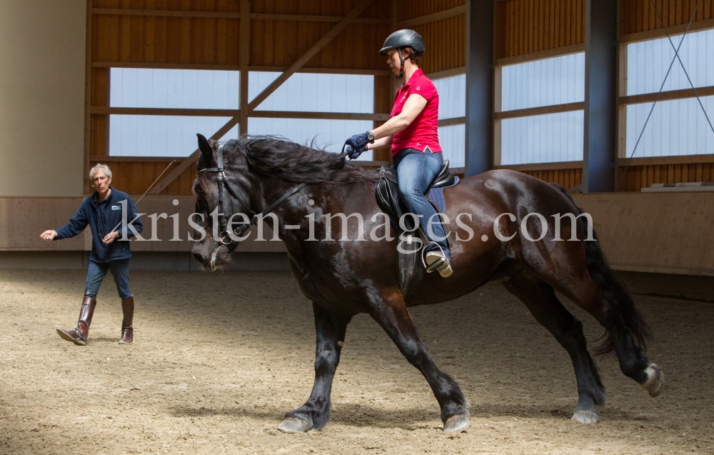 klassische Dressur / Aldrans, Tirol by kristen-images.com