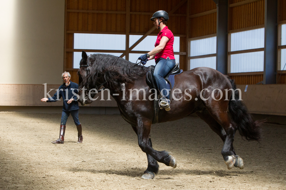 klassische Dressur / Aldrans, Tirol by kristen-images.com