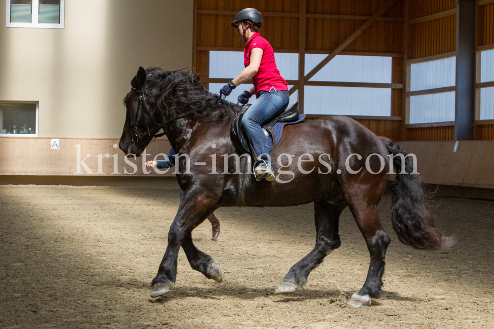 klassische Dressur / Aldrans, Tirol by kristen-images.com