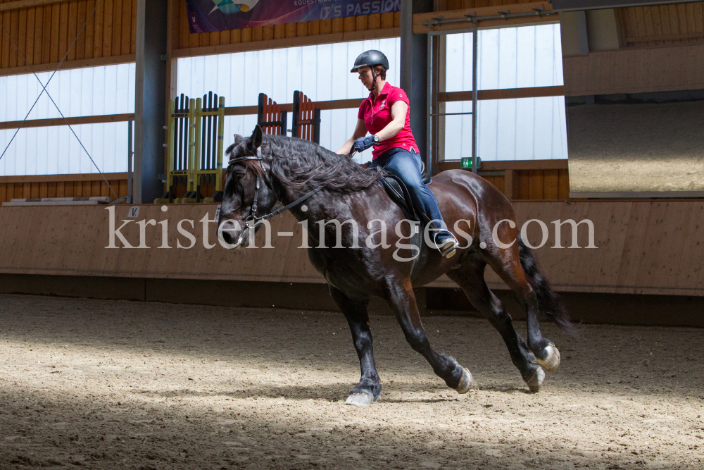 klassische Dressur / Aldrans, Tirol by kristen-images.com