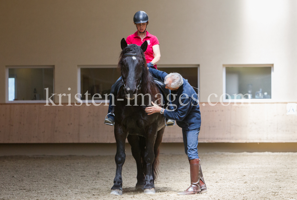 klassische Dressur / Aldrans, Tirol by kristen-images.com