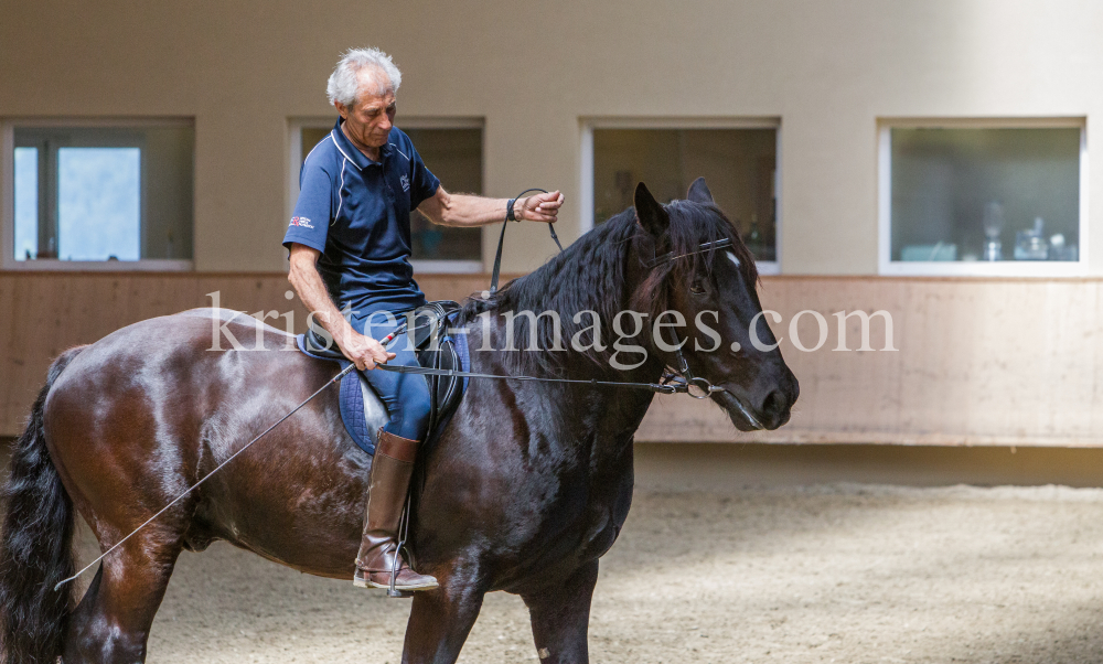 klassische Dressur / Aldrans, Tirol by kristen-images.com