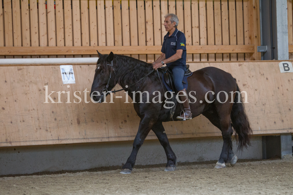 klassische Dressur / Aldrans, Tirol by kristen-images.com