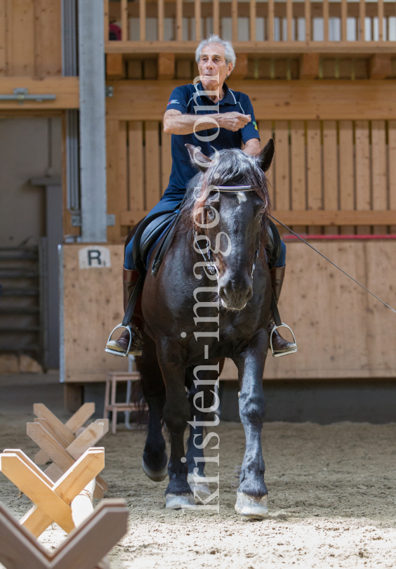 klassische Dressur / Aldrans, Tirol by kristen-images.com