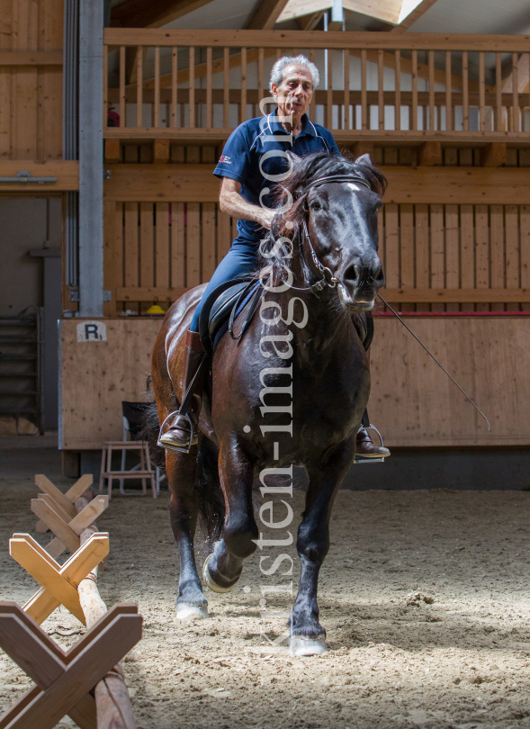 klassische Dressur / Aldrans, Tirol by kristen-images.com