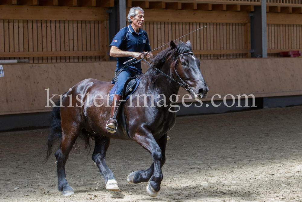 klassische Dressur / Aldrans, Tirol by kristen-images.com