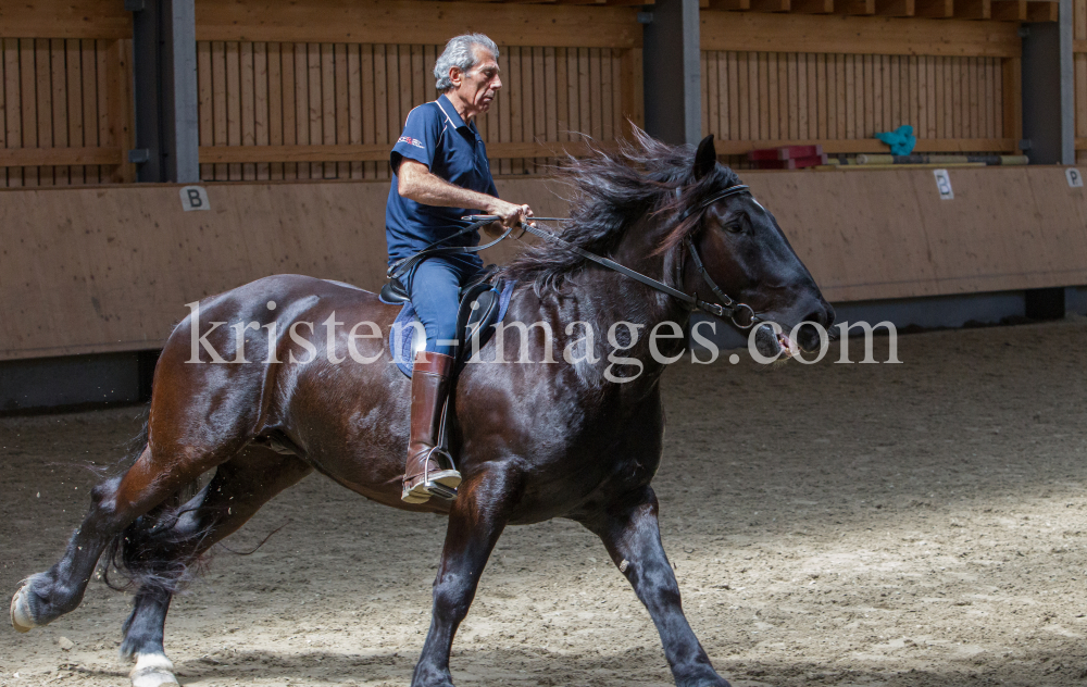 klassische Dressur / Aldrans, Tirol by kristen-images.com