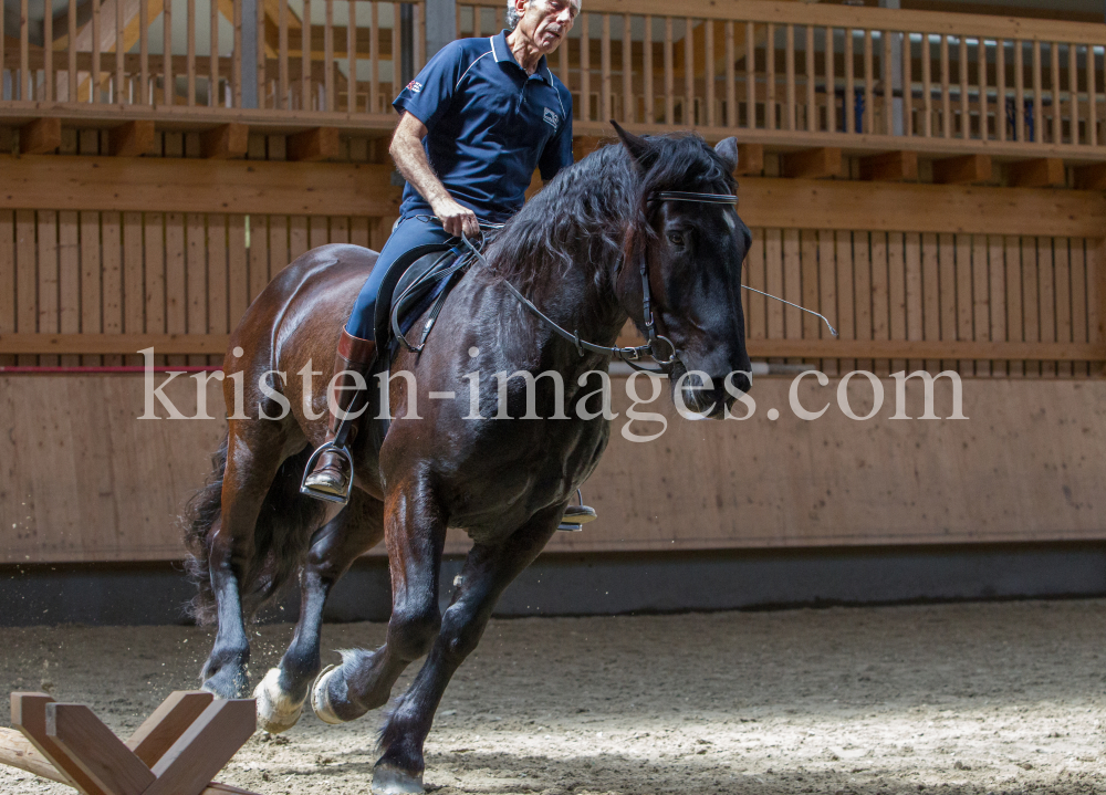 klassische Dressur / Aldrans, Tirol by kristen-images.com