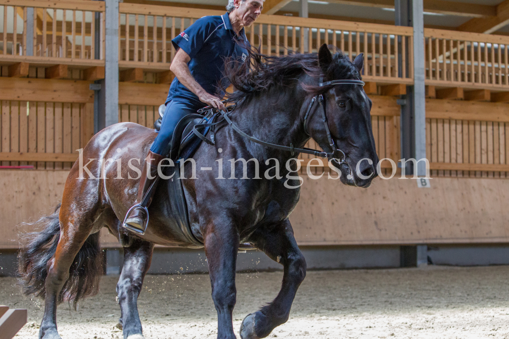 klassische Dressur / Aldrans, Tirol by kristen-images.com