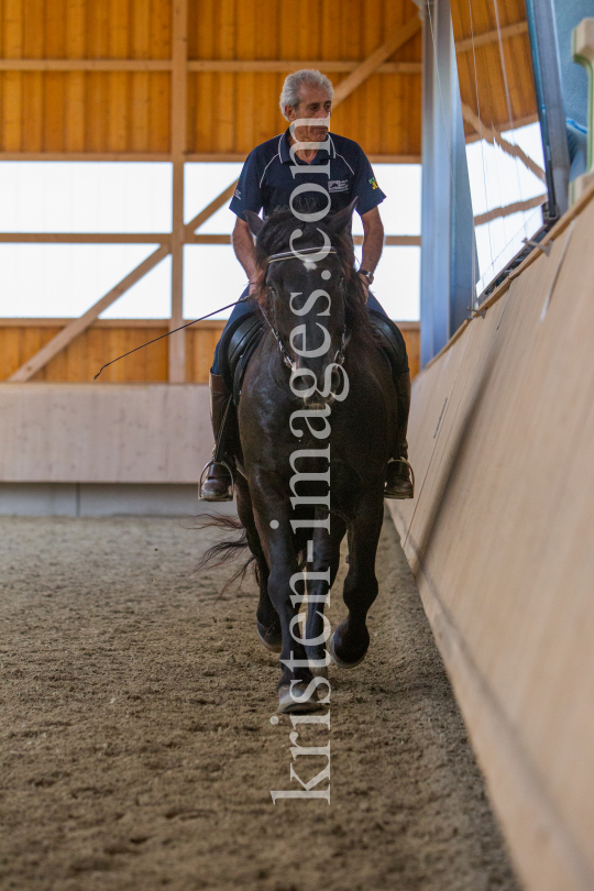 klassische Dressur / Aldrans, Tirol by kristen-images.com