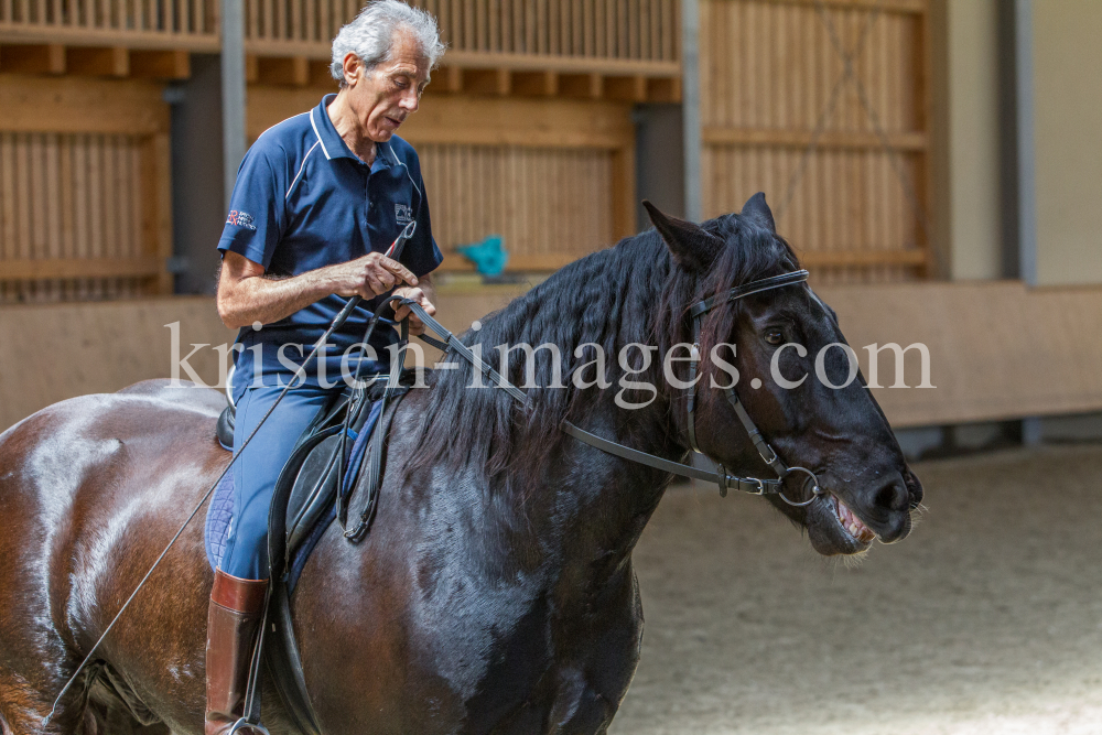 klassische Dressur / Aldrans, Tirol by kristen-images.com