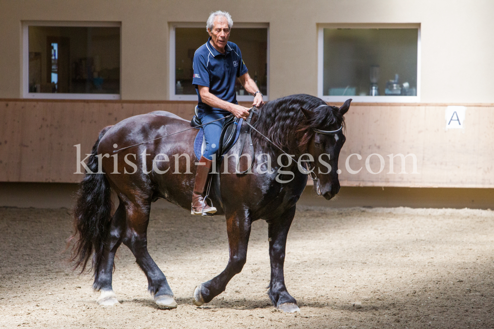 klassische Dressur / Aldrans, Tirol by kristen-images.com