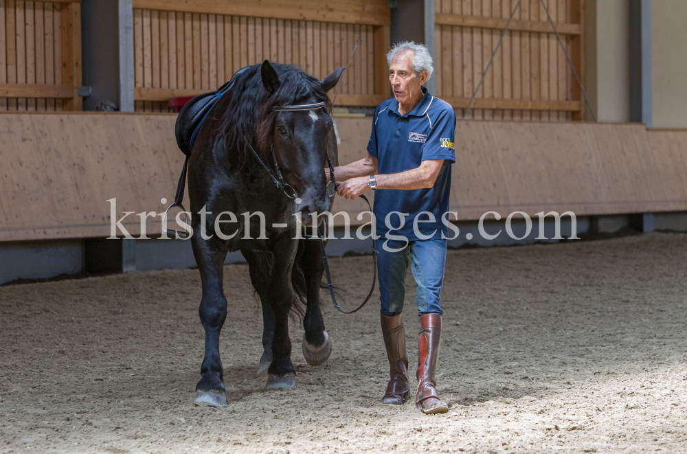 klassische Dressur / Aldrans, Tirol by kristen-images.com