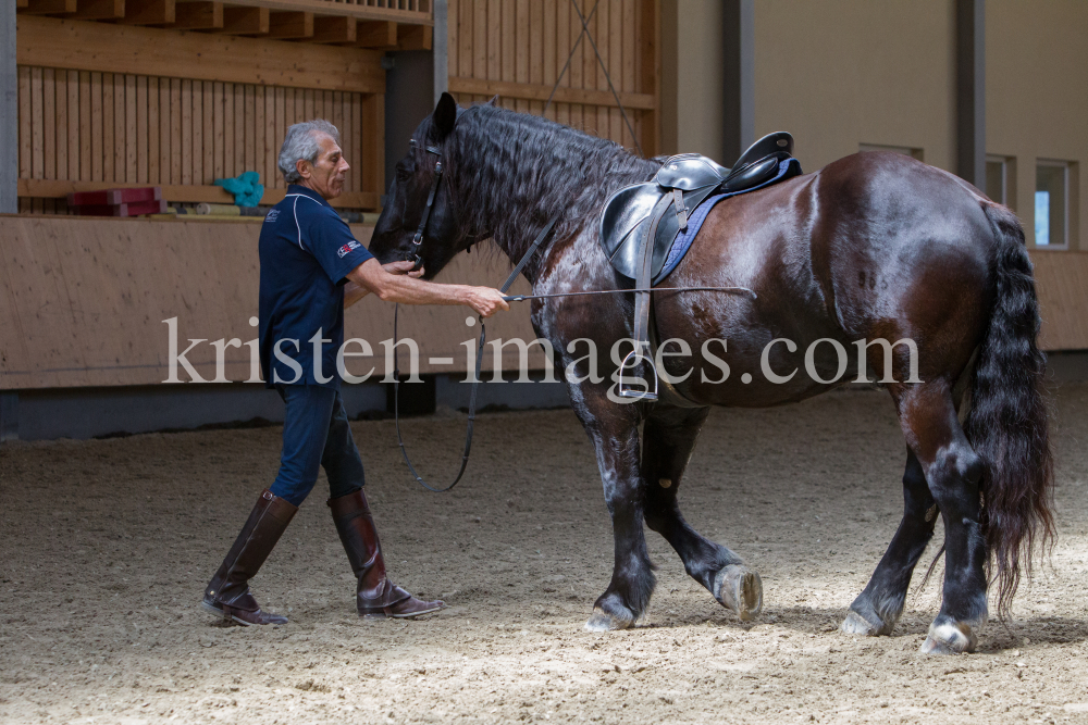 klassische Dressur / Aldrans, Tirol by kristen-images.com