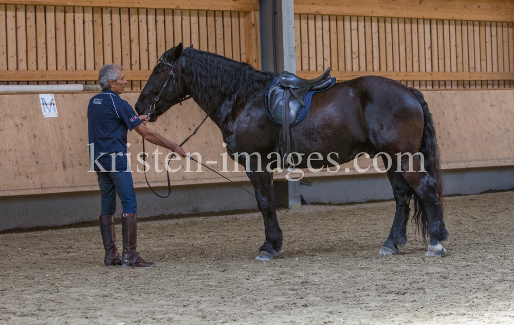 klassische Dressur / Aldrans, Tirol by kristen-images.com