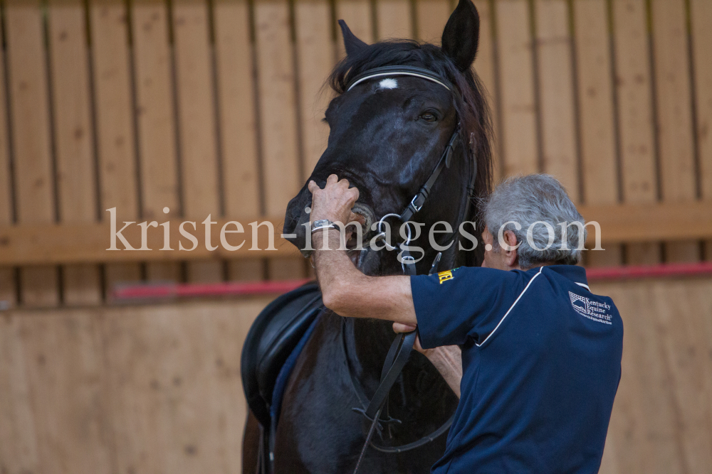 klassische Dressur / Aldrans, Tirol by kristen-images.com