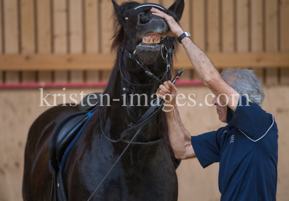 klassische Dressur / Aldrans, Tirol by kristen-images.com