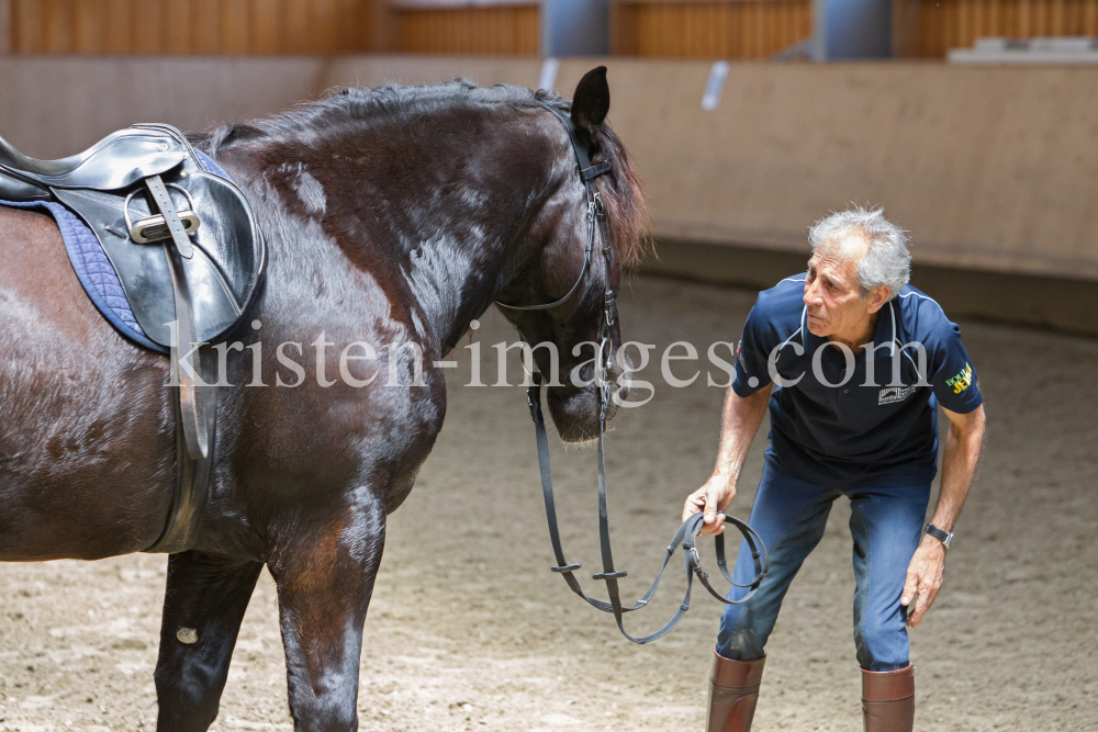 klassische Dressur / Aldrans, Tirol by kristen-images.com