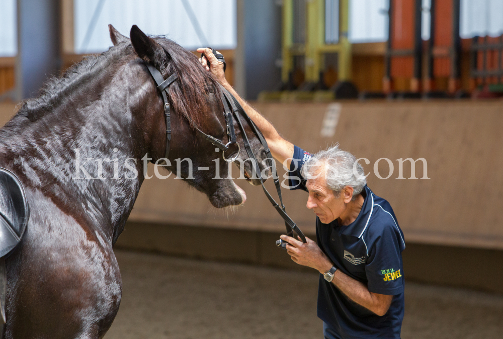 klassische Dressur / Aldrans, Tirol by kristen-images.com