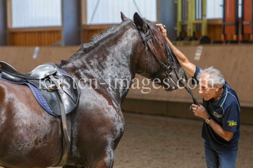 klassische Dressur / Aldrans, Tirol by kristen-images.com