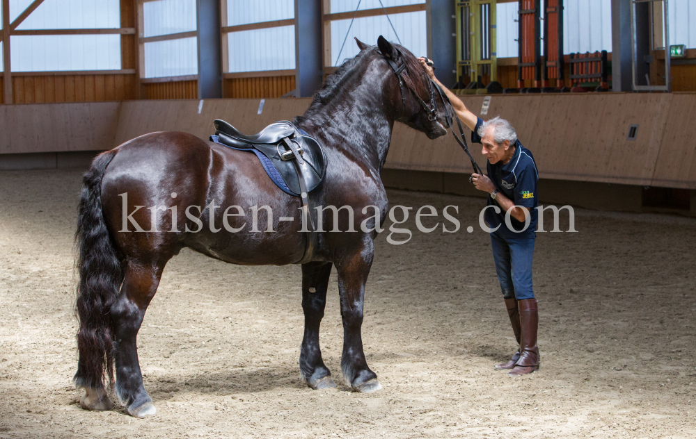 klassische Dressur / Aldrans, Tirol by kristen-images.com