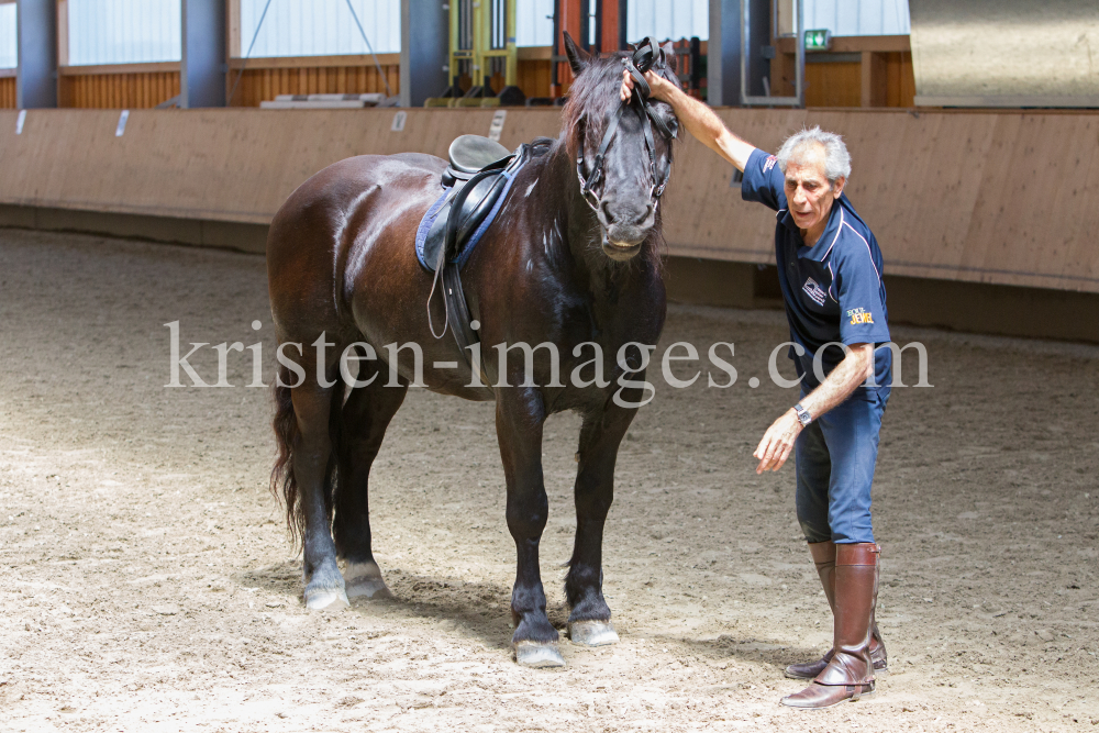 klassische Dressur / Aldrans, Tirol by kristen-images.com