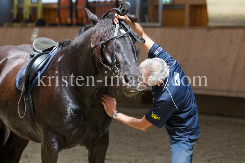 klassische Dressur / Aldrans, Tirol by kristen-images.com