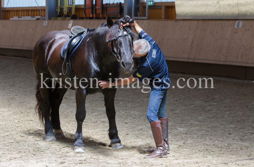 klassische Dressur / Aldrans, Tirol by kristen-images.com