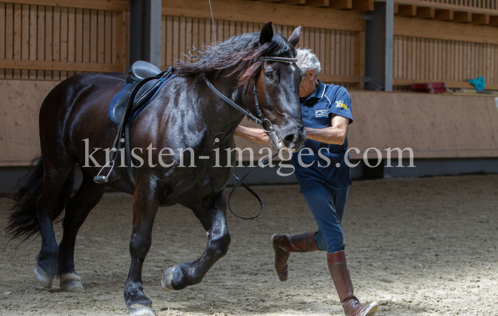 klassische Dressur / Aldrans, Tirol by kristen-images.com