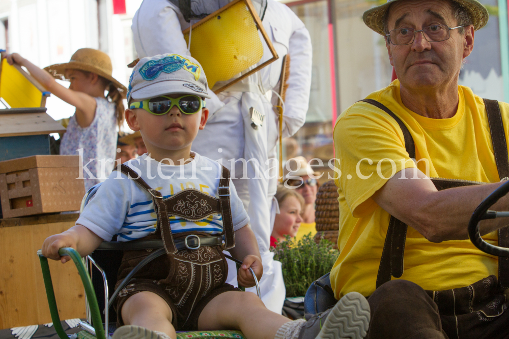 Markterhebung von Fulpmes / Stubaital, Tirol by kristen-images.com