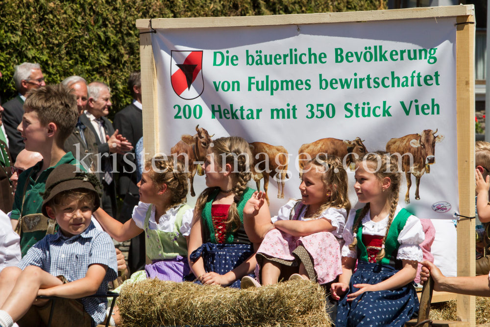 Markterhebung von Fulpmes / Stubaital, Tirol by kristen-images.com