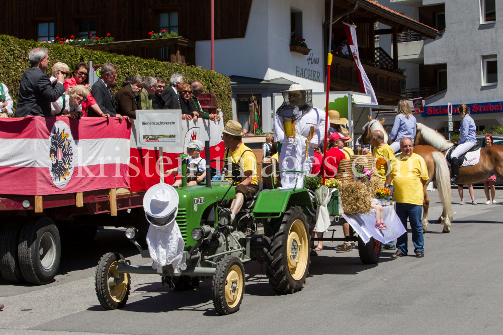 Markterhebung von Fulpmes / Stubaital, Tirol by kristen-images.com