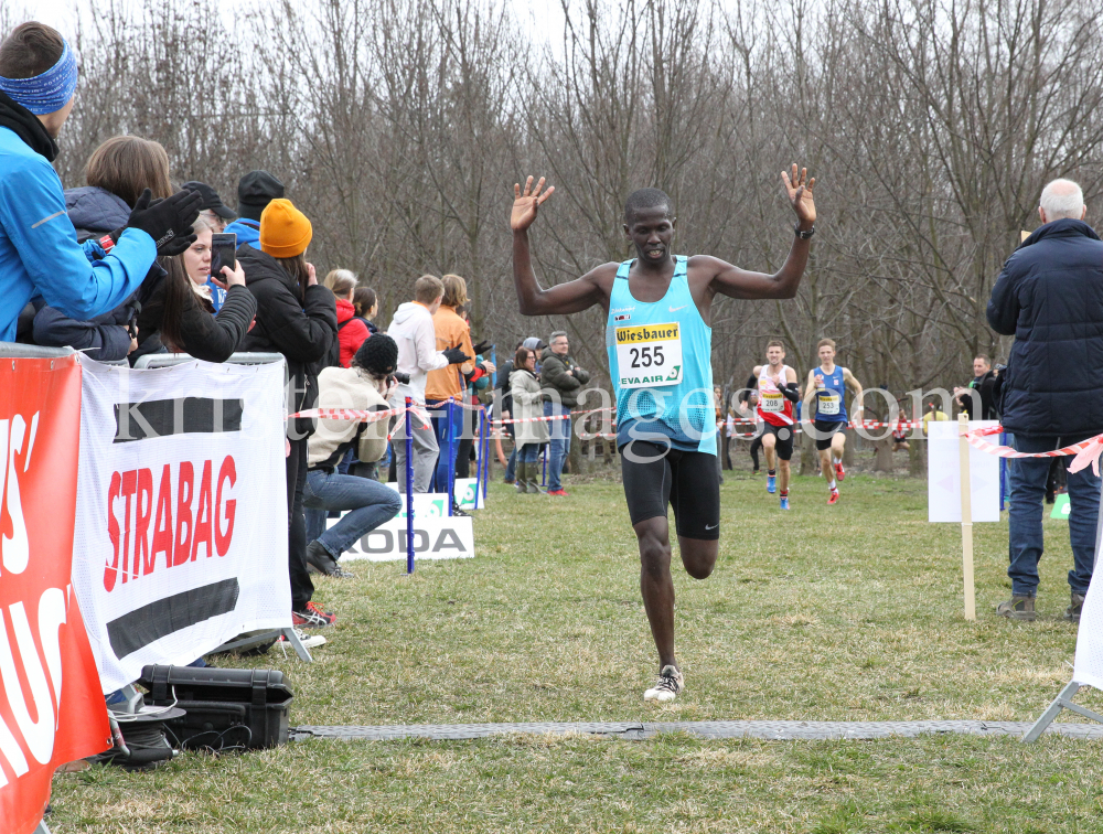 Crosslauf / Österreichische Staatsmeisterschaften / Innsbruck by kristen-images.com