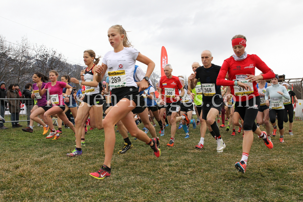 Crosslauf / Österreichische Staatsmeisterschaften / Innsbruck by kristen-images.com