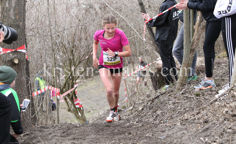 Crosslauf / Österreichische Staatsmeisterschaften / Innsbruck by kristen-images.com