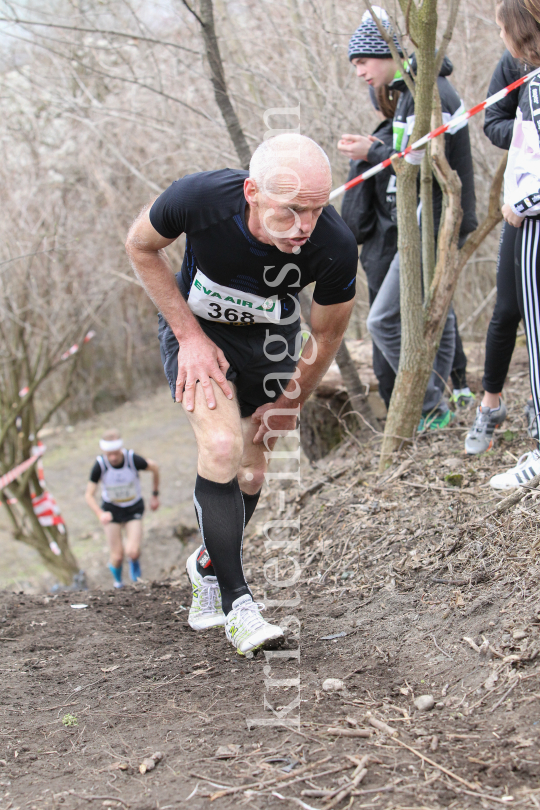 Crosslauf / Österreichische Staatsmeisterschaften / Innsbruck by kristen-images.com