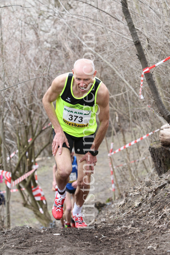 Crosslauf / Österreichische Staatsmeisterschaften / Innsbruck by kristen-images.com