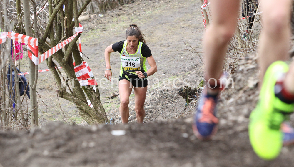 Crosslauf / Österreichische Staatsmeisterschaften / Innsbruck by kristen-images.com