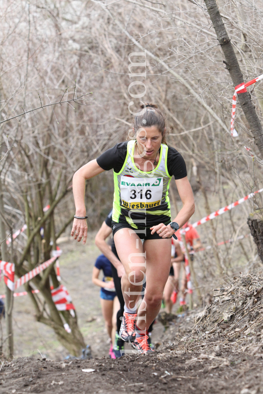 Crosslauf / Österreichische Staatsmeisterschaften / Innsbruck by kristen-images.com