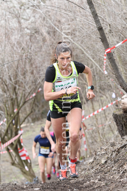 Crosslauf / Österreichische Staatsmeisterschaften / Innsbruck by kristen-images.com