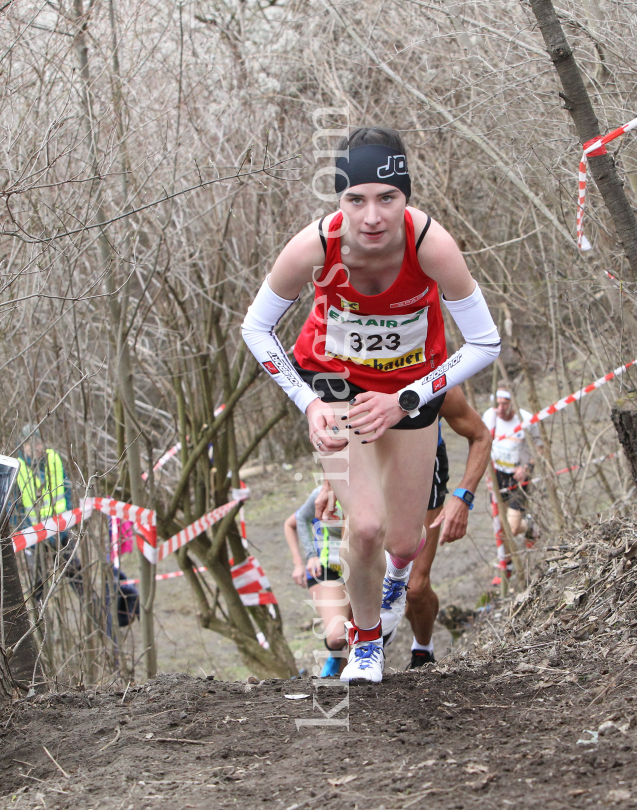 Crosslauf / Österreichische Staatsmeisterschaften / Innsbruck by kristen-images.com