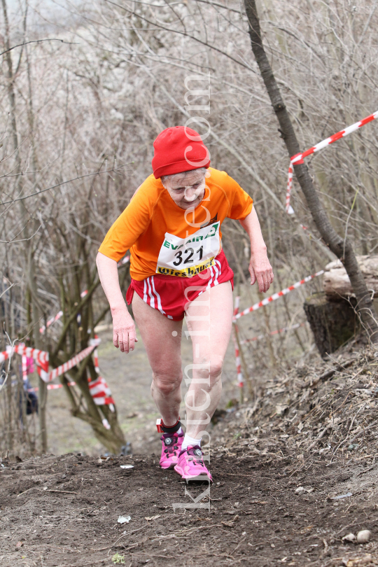 Crosslauf / Österreichische Staatsmeisterschaften / Innsbruck by kristen-images.com