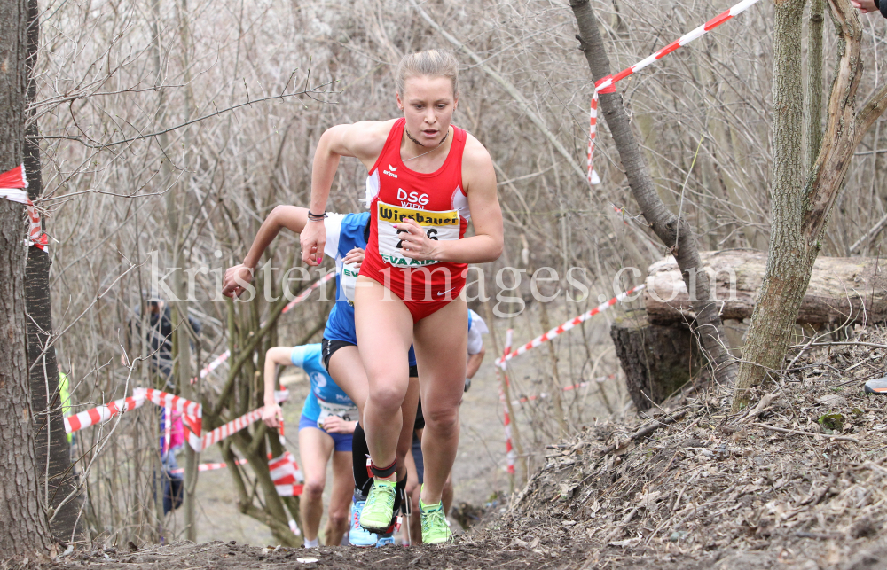 Crosslauf / Österreichische Staatsmeisterschaften / Innsbruck by kristen-images.com