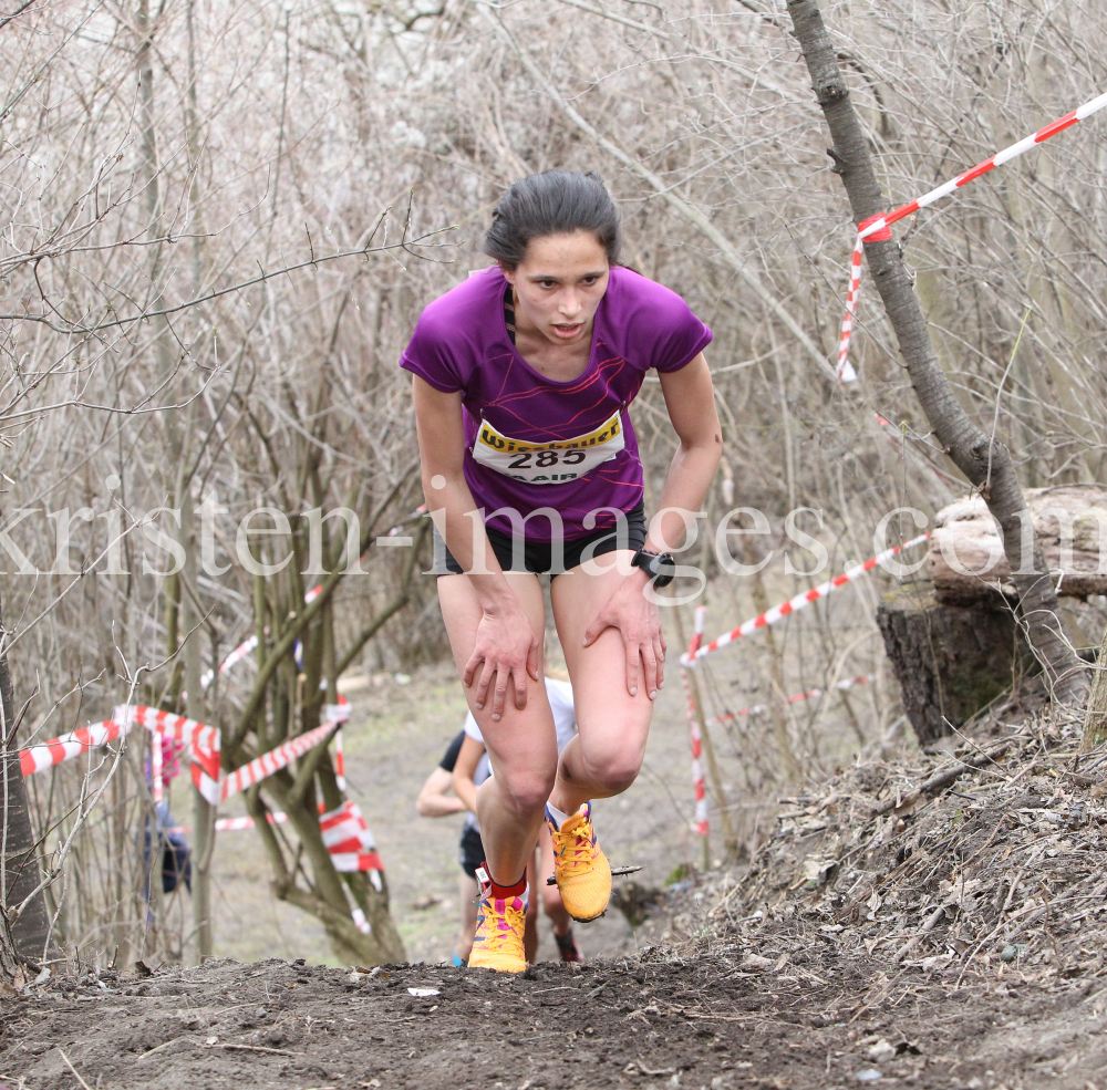 Crosslauf / Österreichische Staatsmeisterschaften / Innsbruck by kristen-images.com