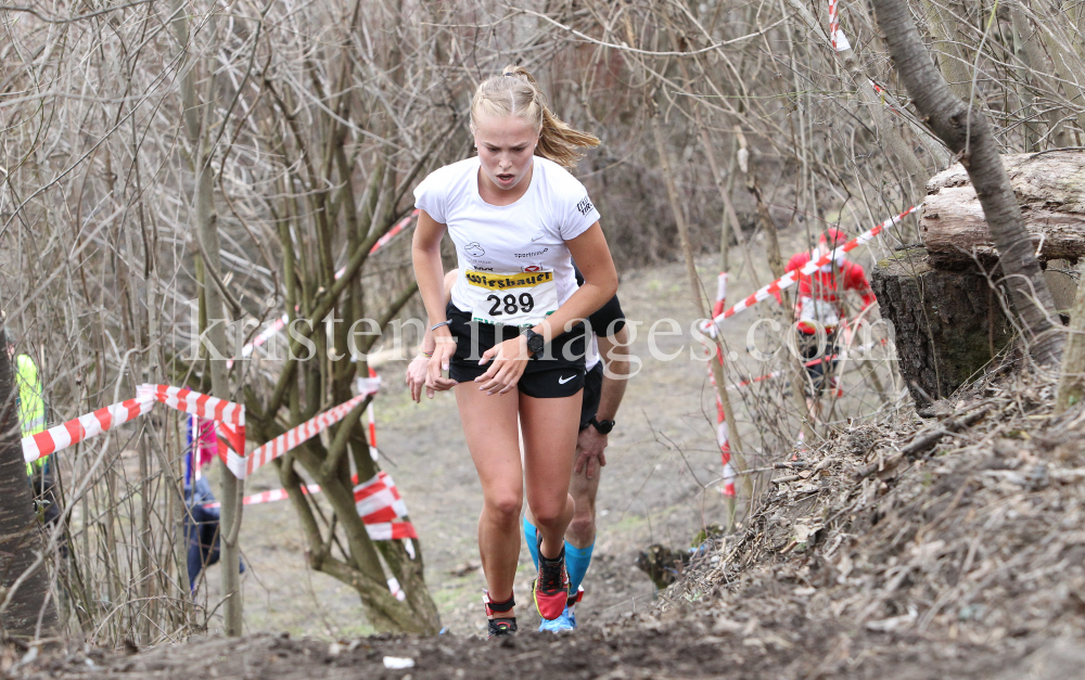 Crosslauf / Österreichische Staatsmeisterschaften / Innsbruck by kristen-images.com