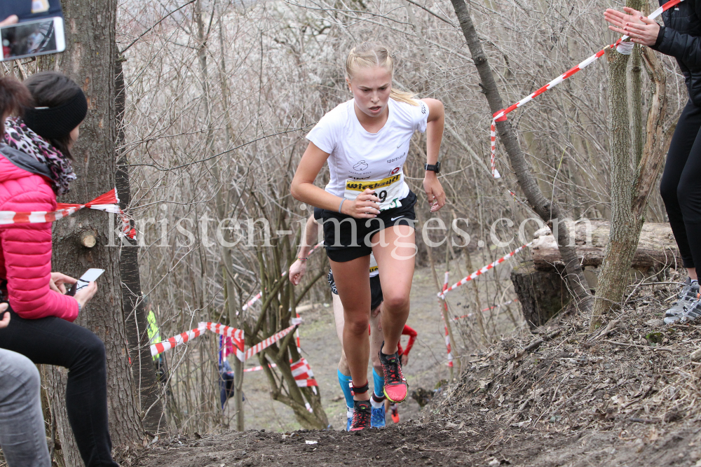 Crosslauf / Österreichische Staatsmeisterschaften / Innsbruck by kristen-images.com