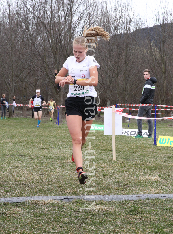 Crosslauf / Österreichische Staatsmeisterschaften / Innsbruck by kristen-images.com