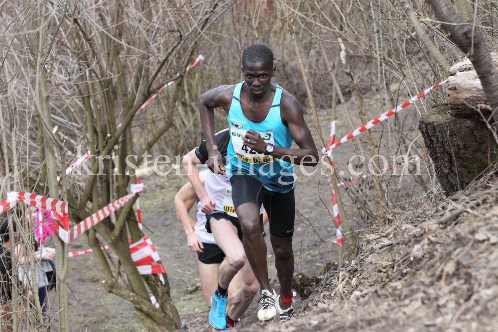 Crosslauf / Österreichische Staatsmeisterschaften / Innsbruck by kristen-images.com